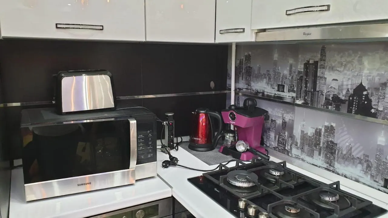 Luxury Apartment Prelungirea Ghencea Residence 布加勒斯特 罗马尼亚